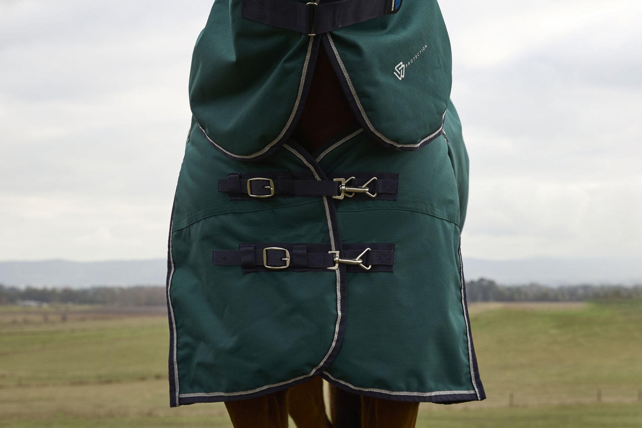 4-492837-03.jpg