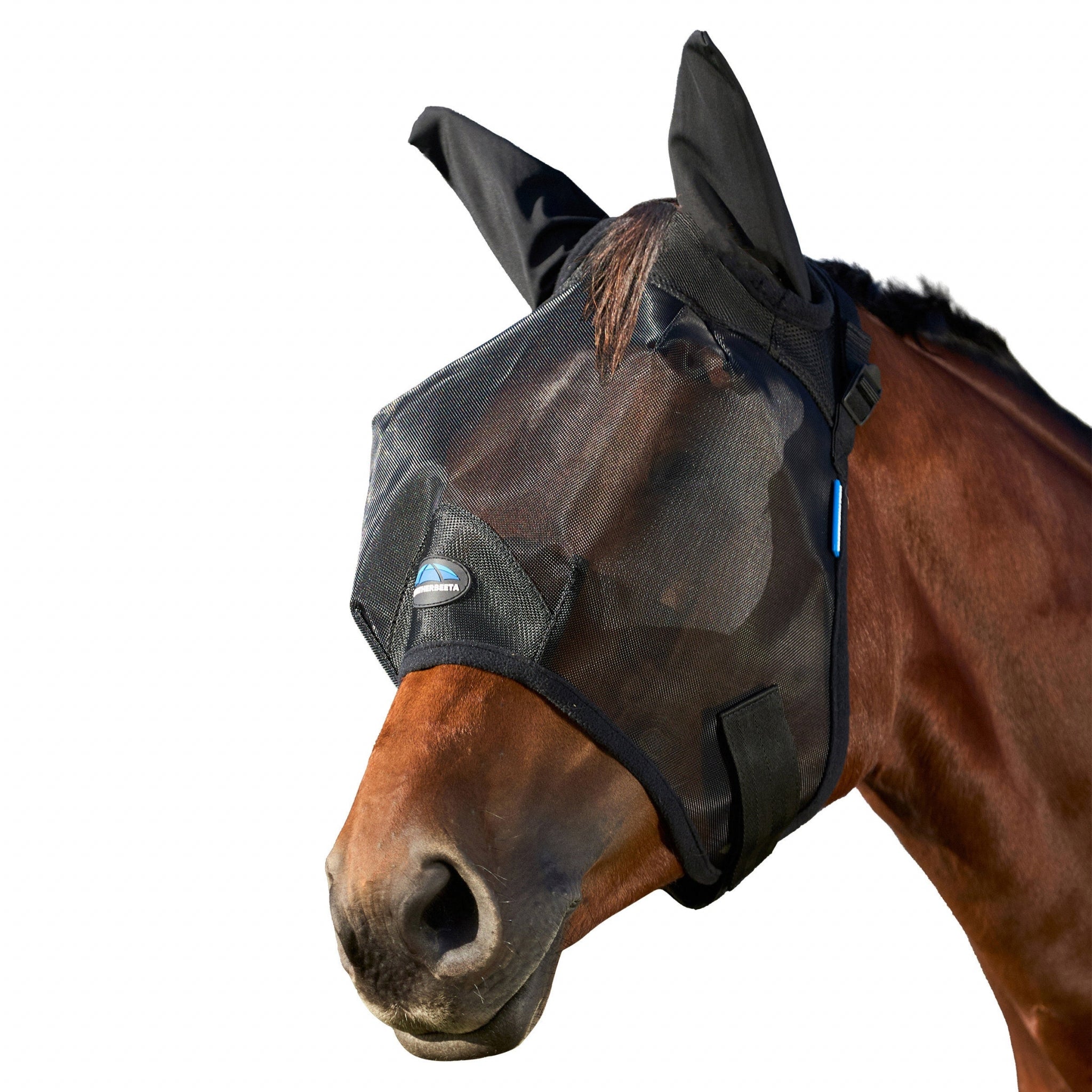4-492959.jpg