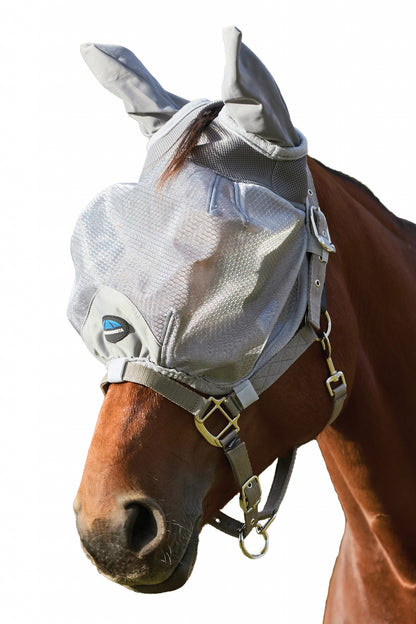 4-492964.jpg