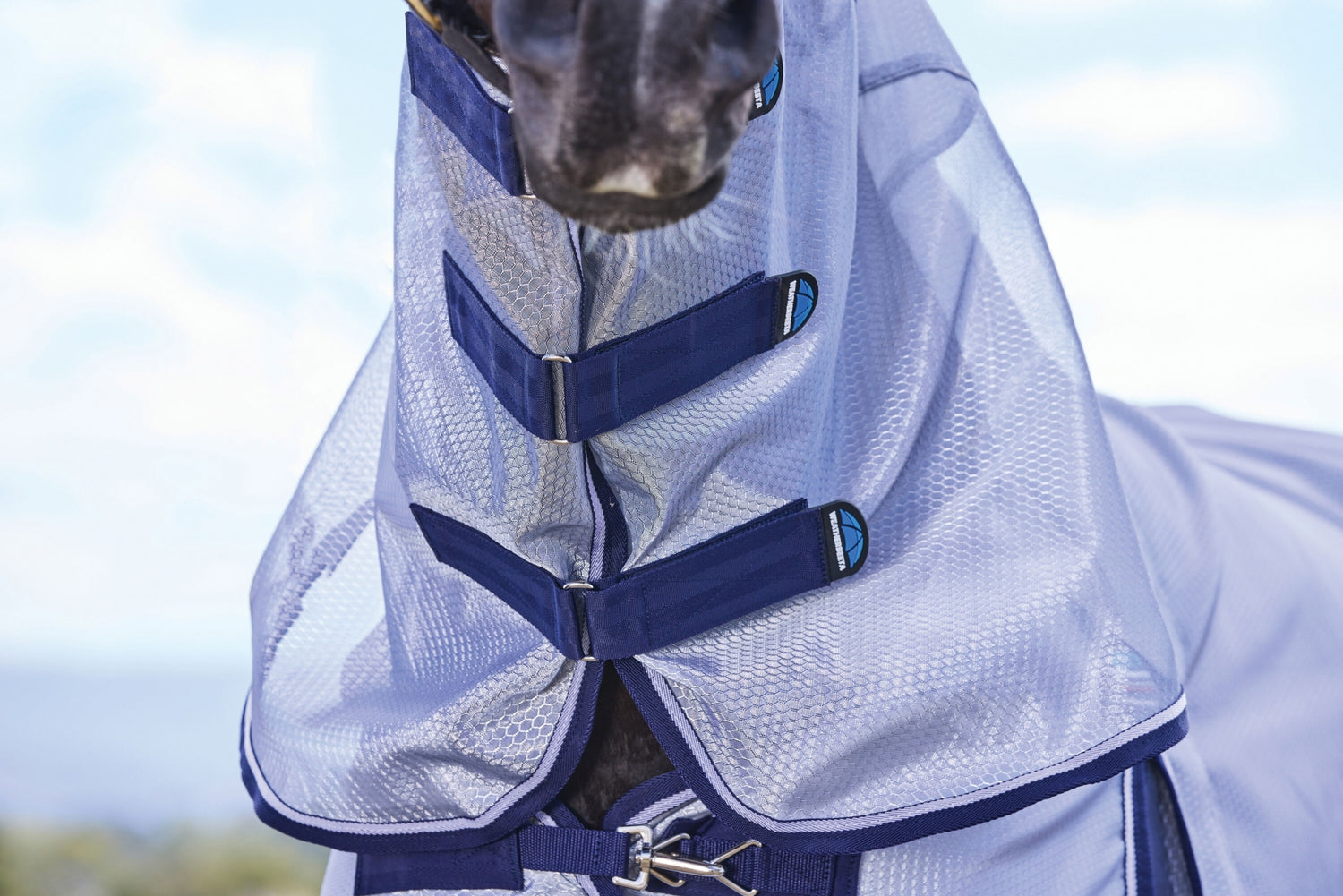 4-493057-09.jpg