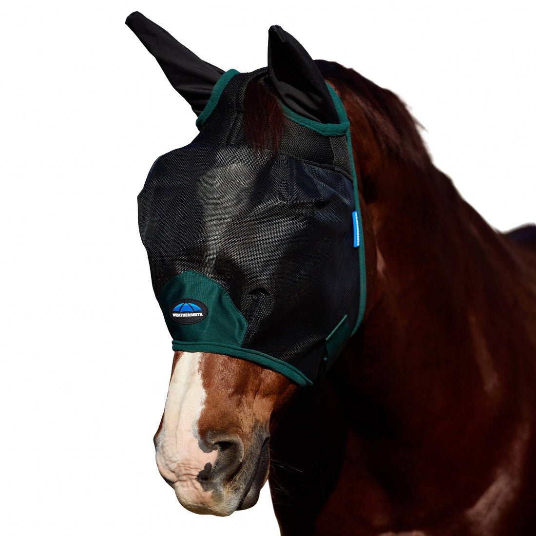 4-493162.jpg