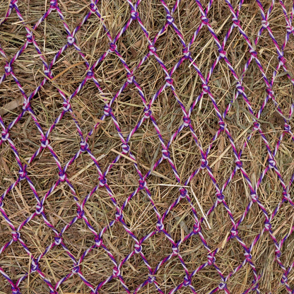 4-498279-2.jpg