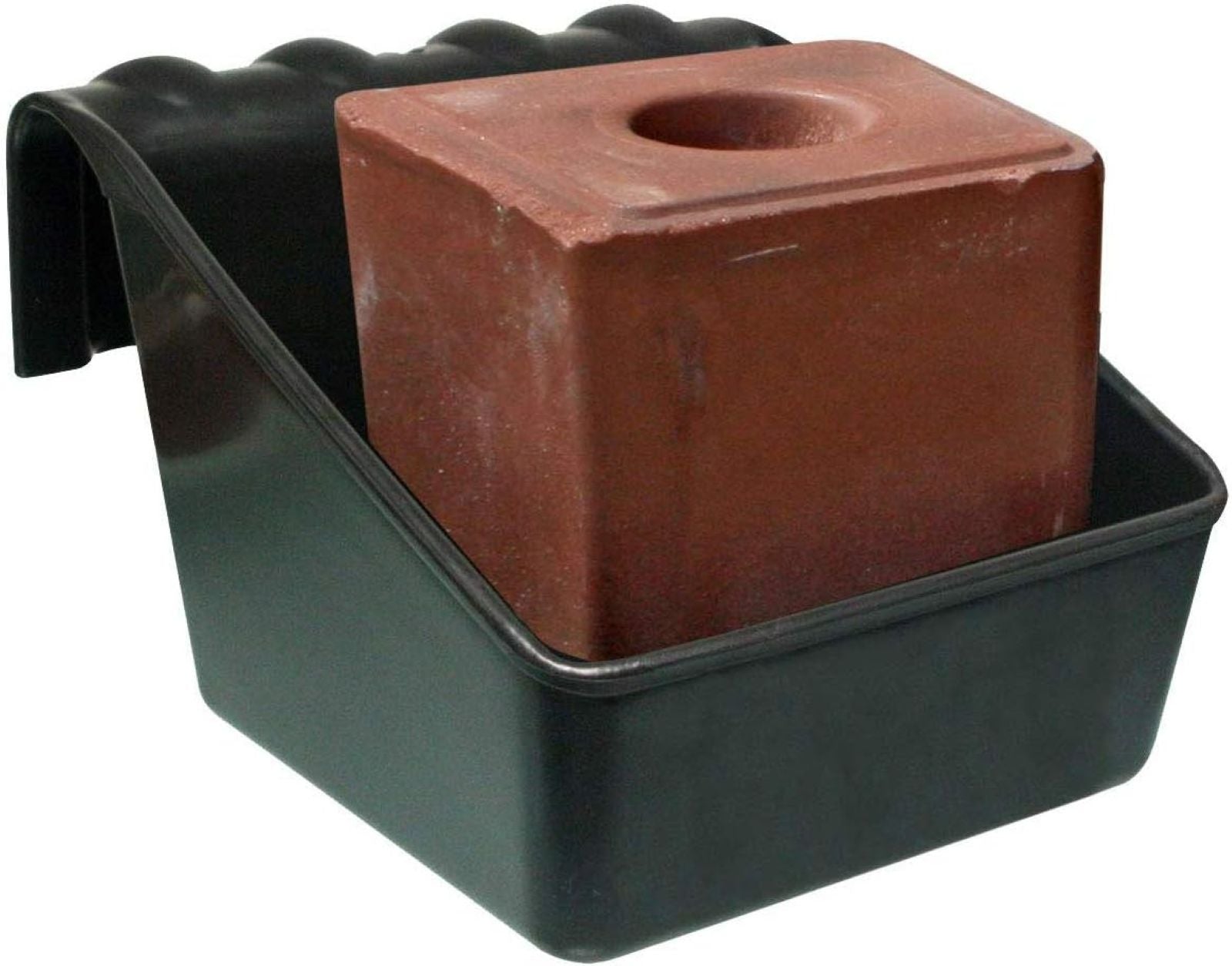 4-499659.jpg