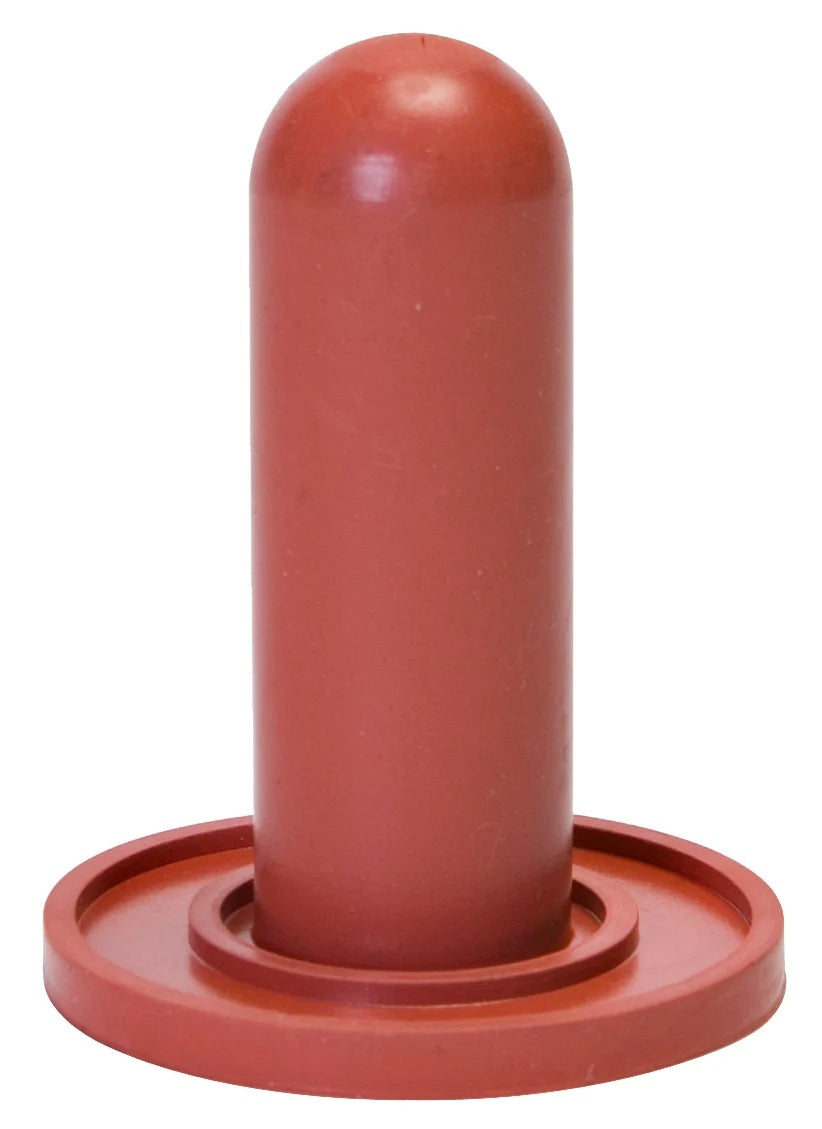 4-499661.jpg