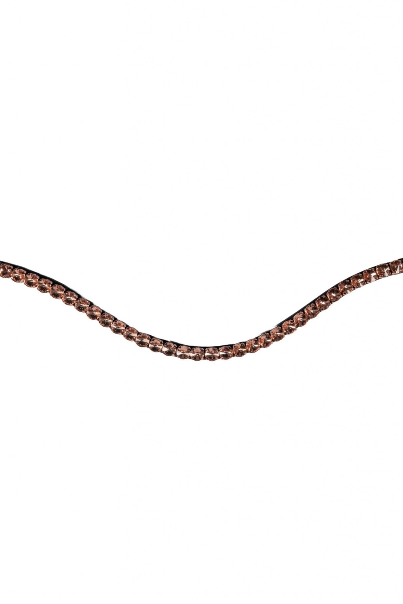 4-501377.jpg