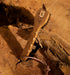4-510872.jpg