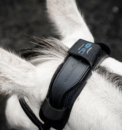 4-511156.jpg