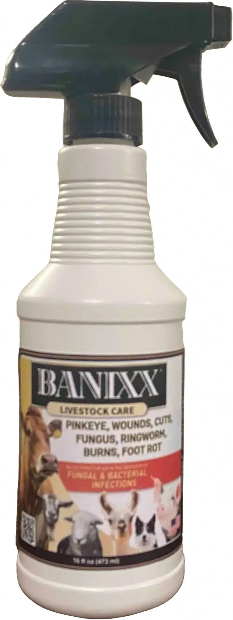 4-511736A.jpg