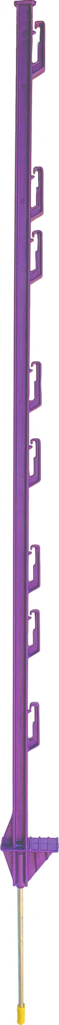 4-511849.jpg