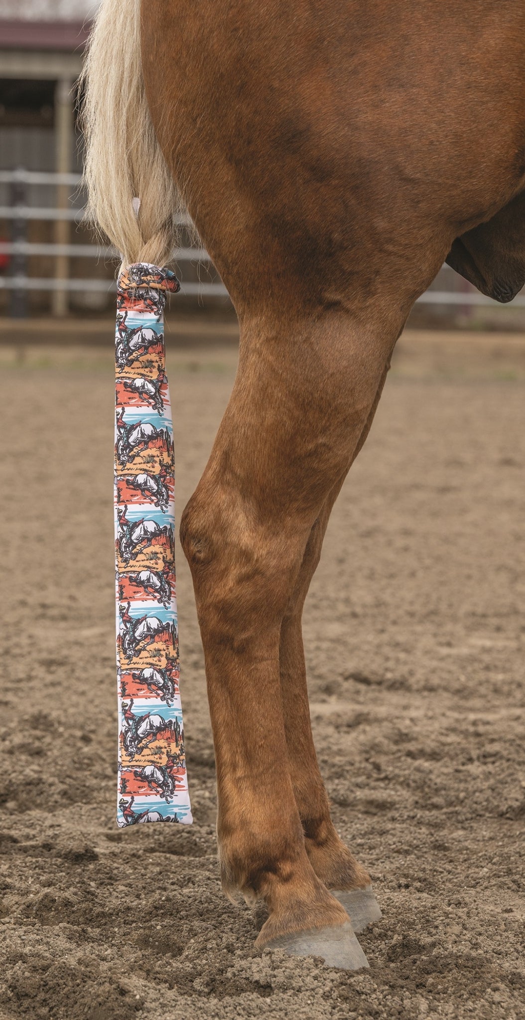 4-515434-1.jpg