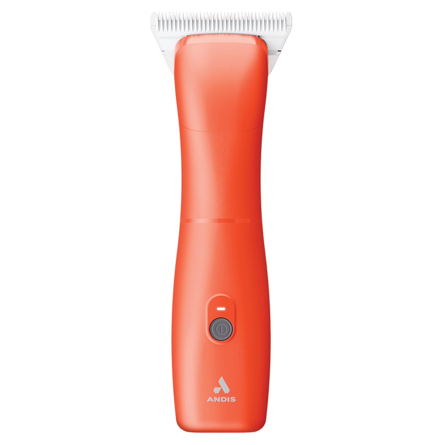 4-515719.jpg