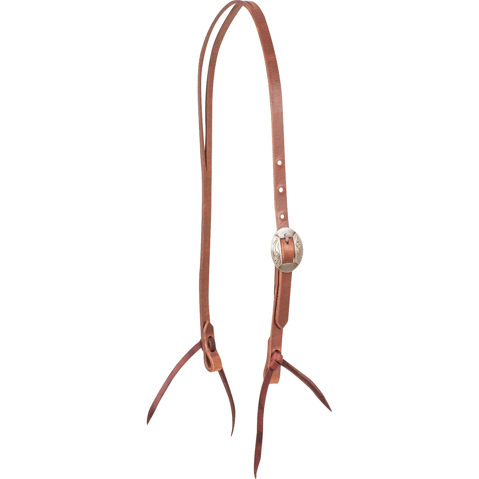 4-521474.jpg