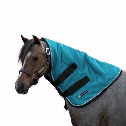 4-521858-01.jpg
