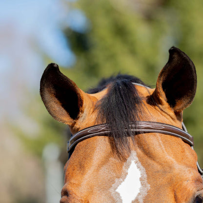 4-529809-05.jpg