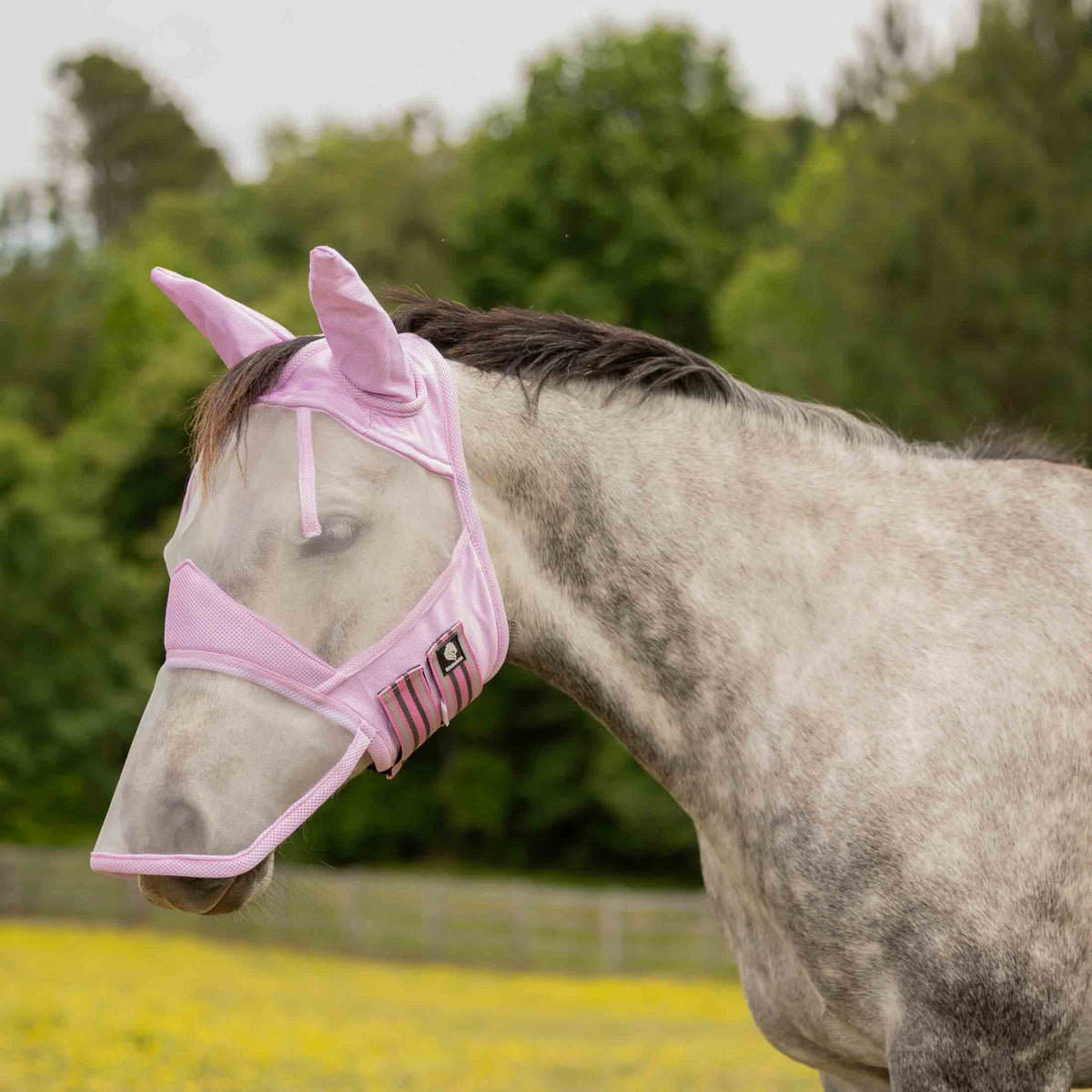 4-530170.jpg