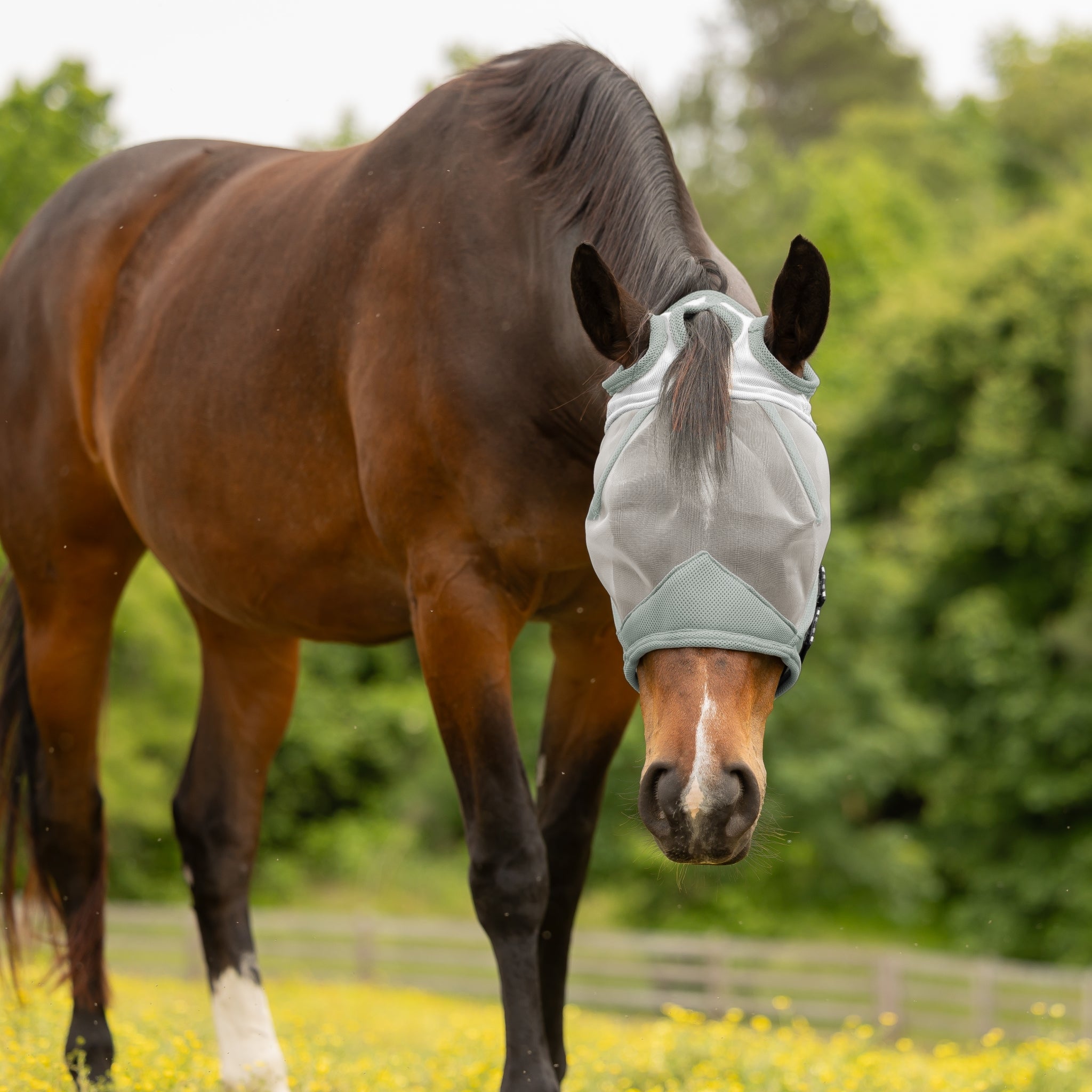 4-530219-04.jpg