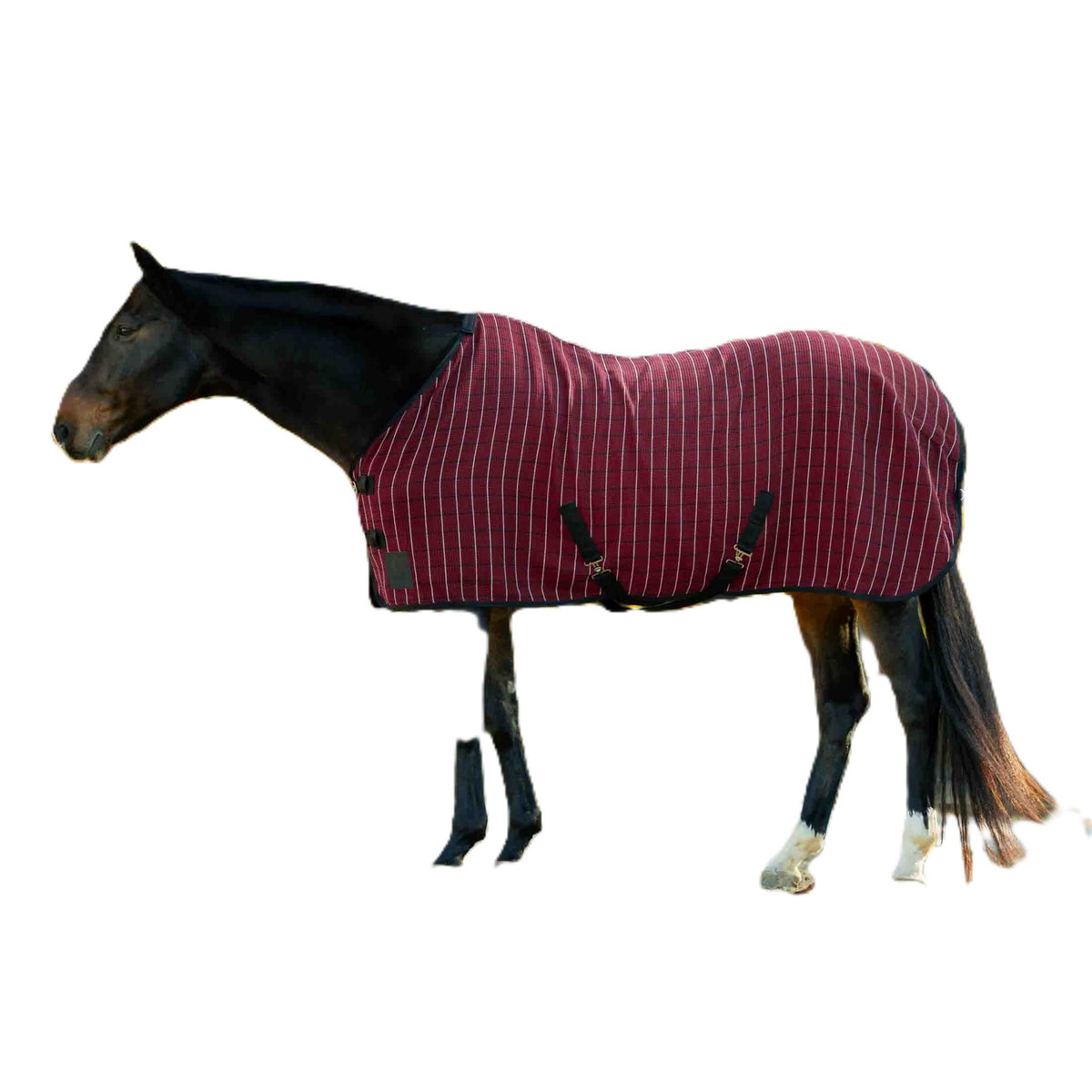 4-530234-01.jpg