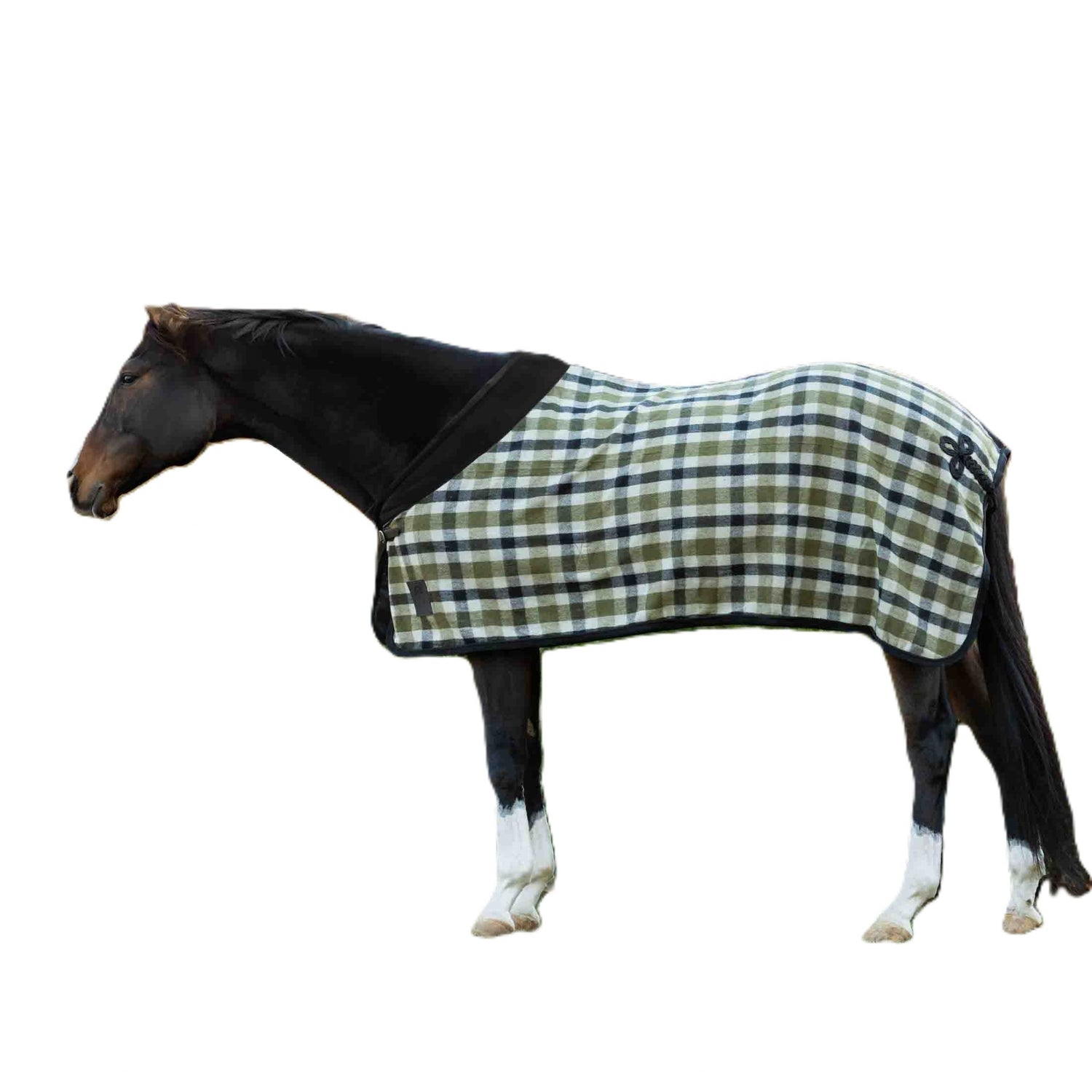 4-530806.jpg