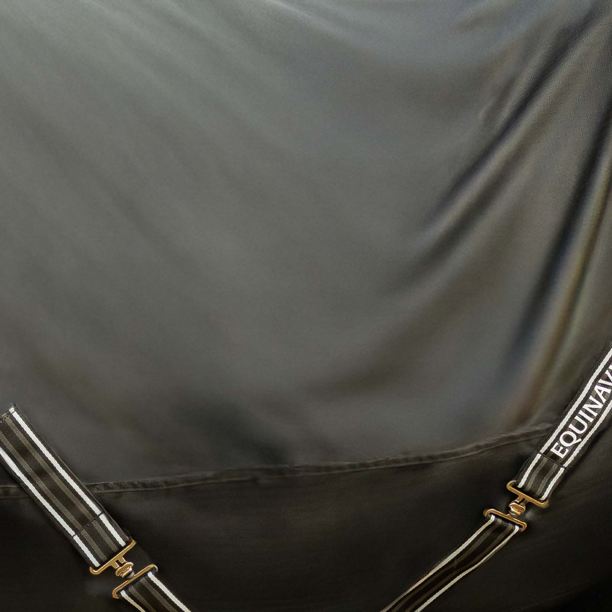 4-531052-2.jpg