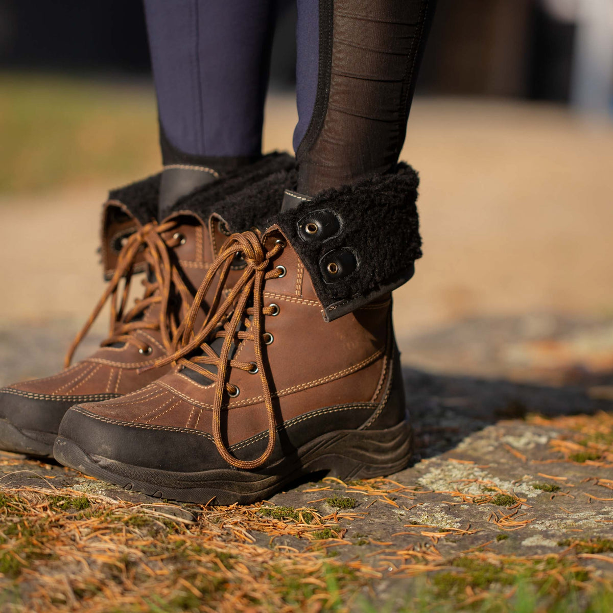 4-532540-2.jpg