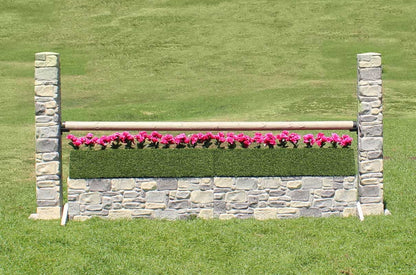 4-547431-5.jpg