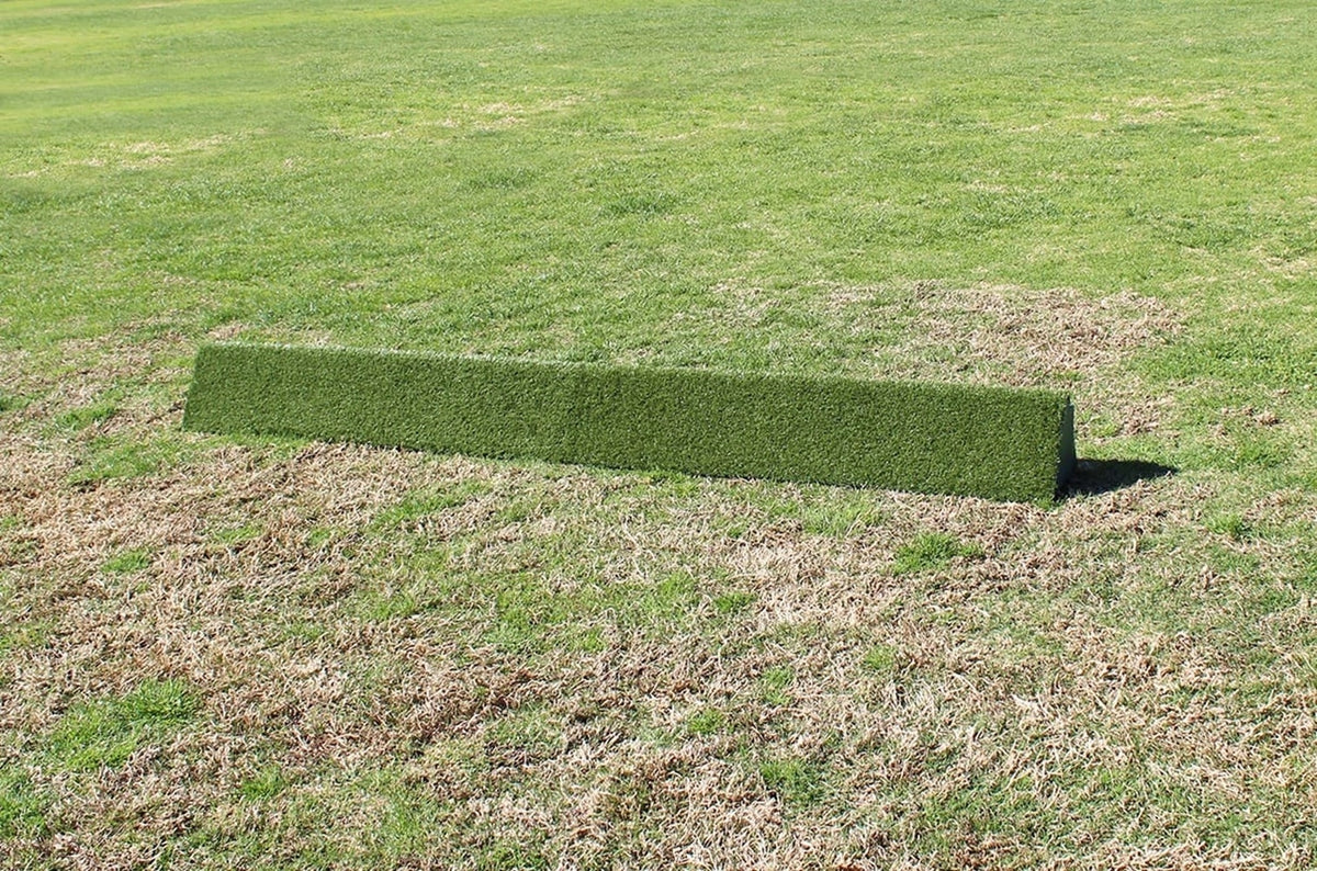 4-547462-3.jpg