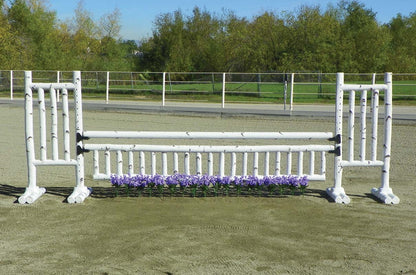 4-547466-4.jpg