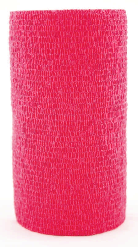 5-109676.jpg
