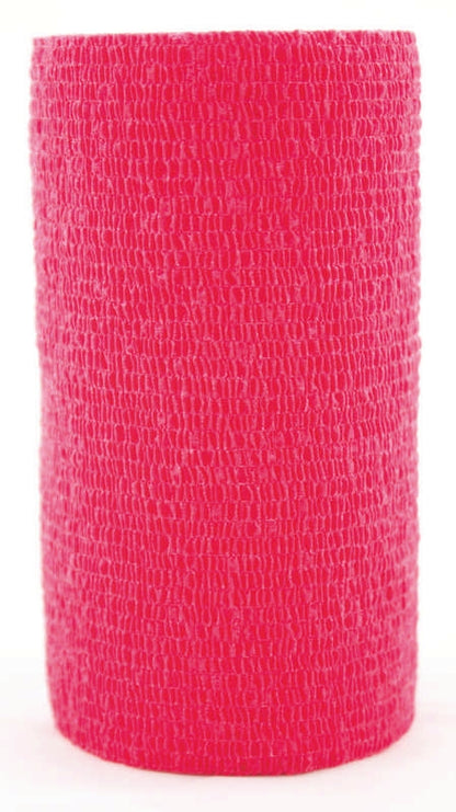 5-109676.jpg