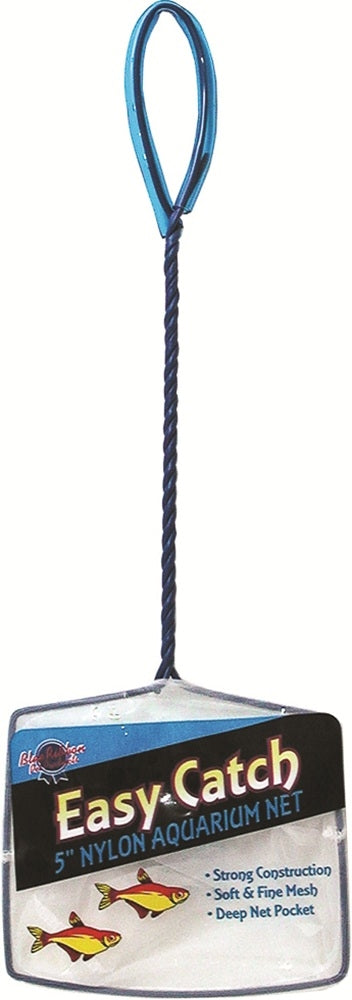 5-138776-2.jpg
