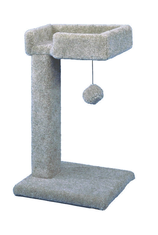 5-150495.jpg