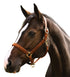 5-155659-hazelnut.jpg
