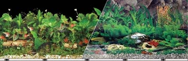 5-256147.jpg