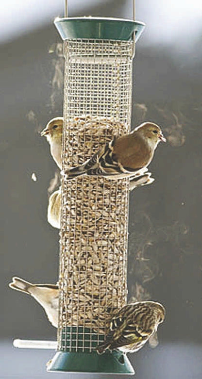 5-257609.jpg