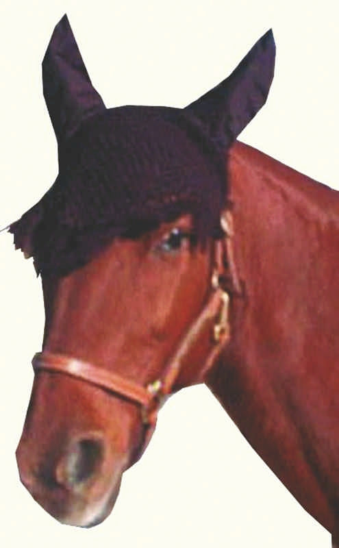 5-260568.jpg