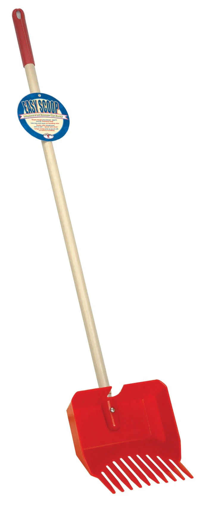 5-262118-1.jpg
