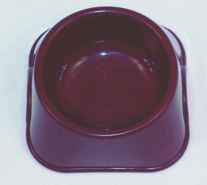5-265172.jpg