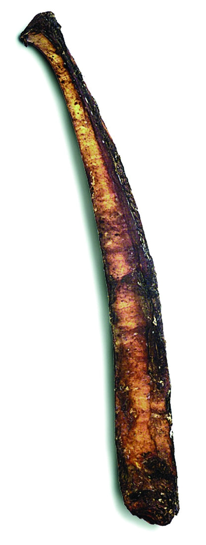 5-301668.jpg