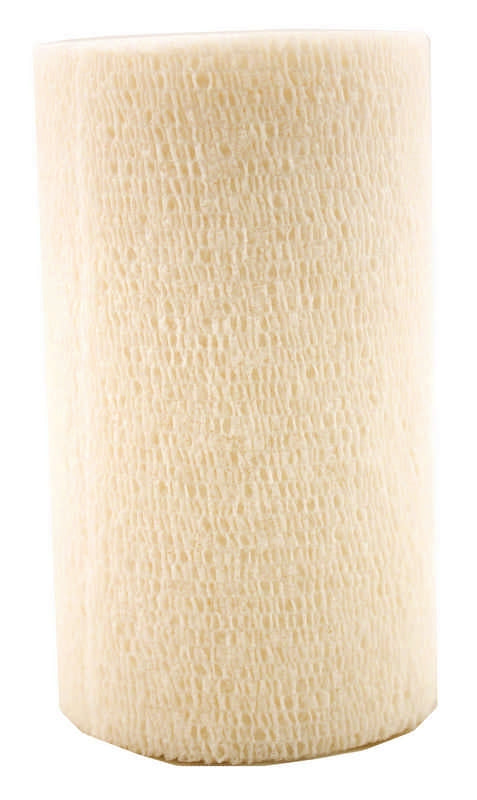 5-307355.jpg