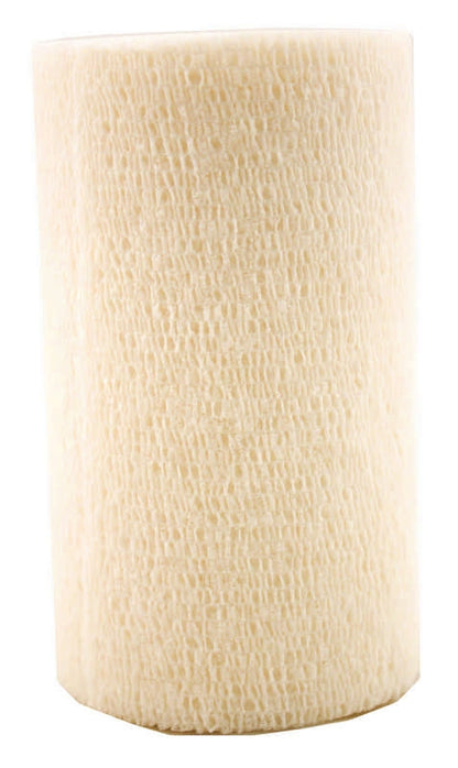 5-307355.jpg
