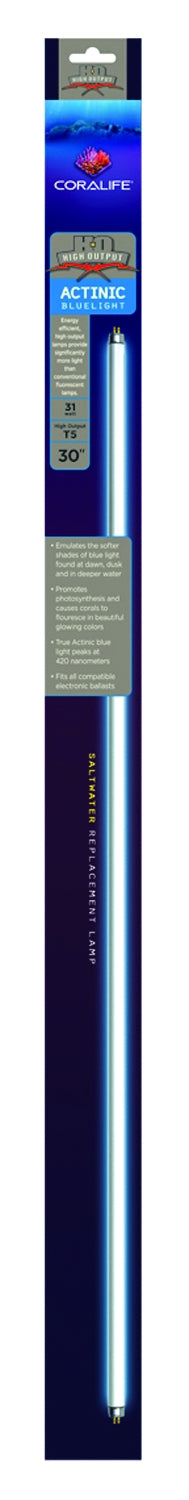 5-409907.jpg