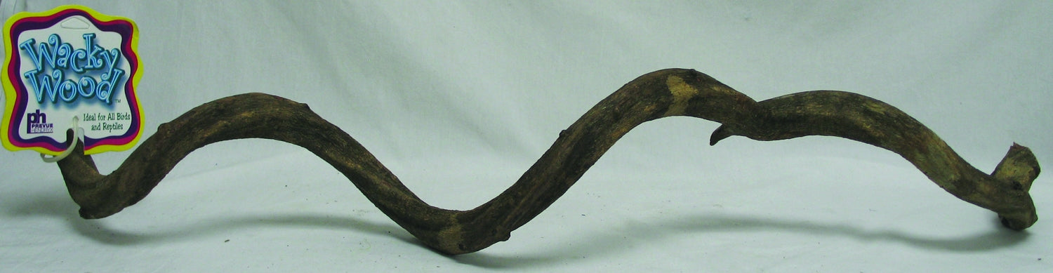 5-410426.jpg