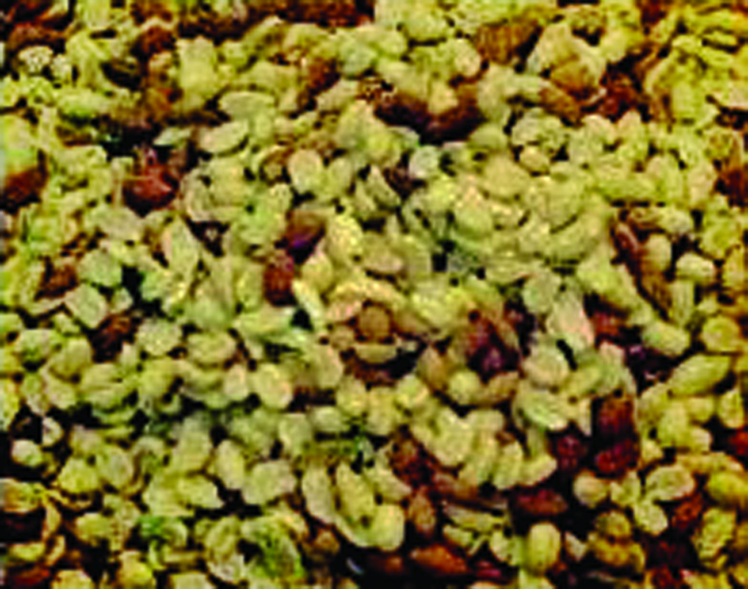 5-413594.jpg