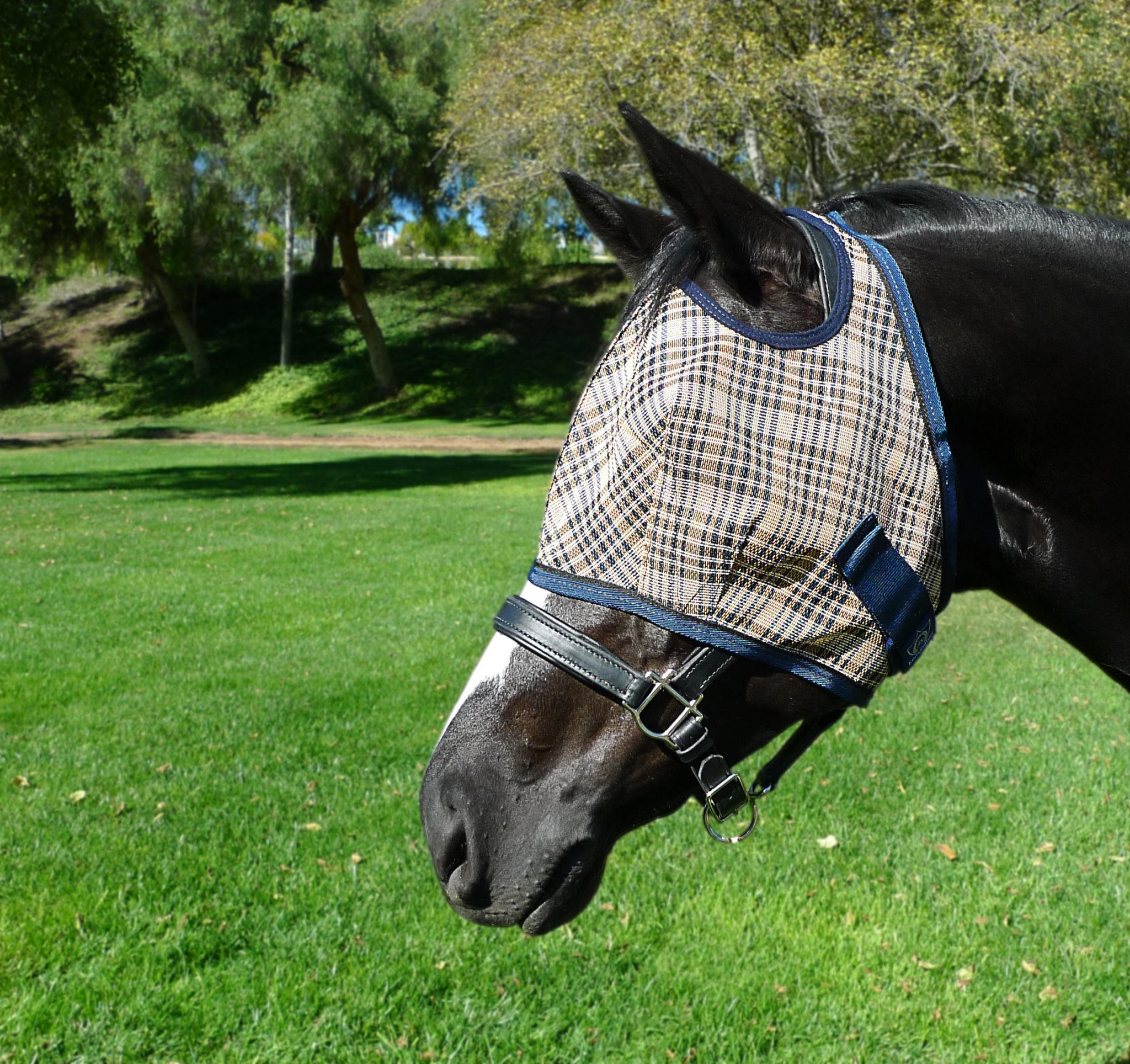 5-446950englishnavyplaid.jpg
