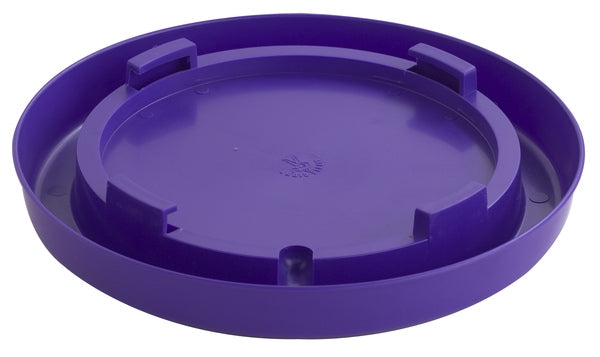 5-457543_purple.jpg