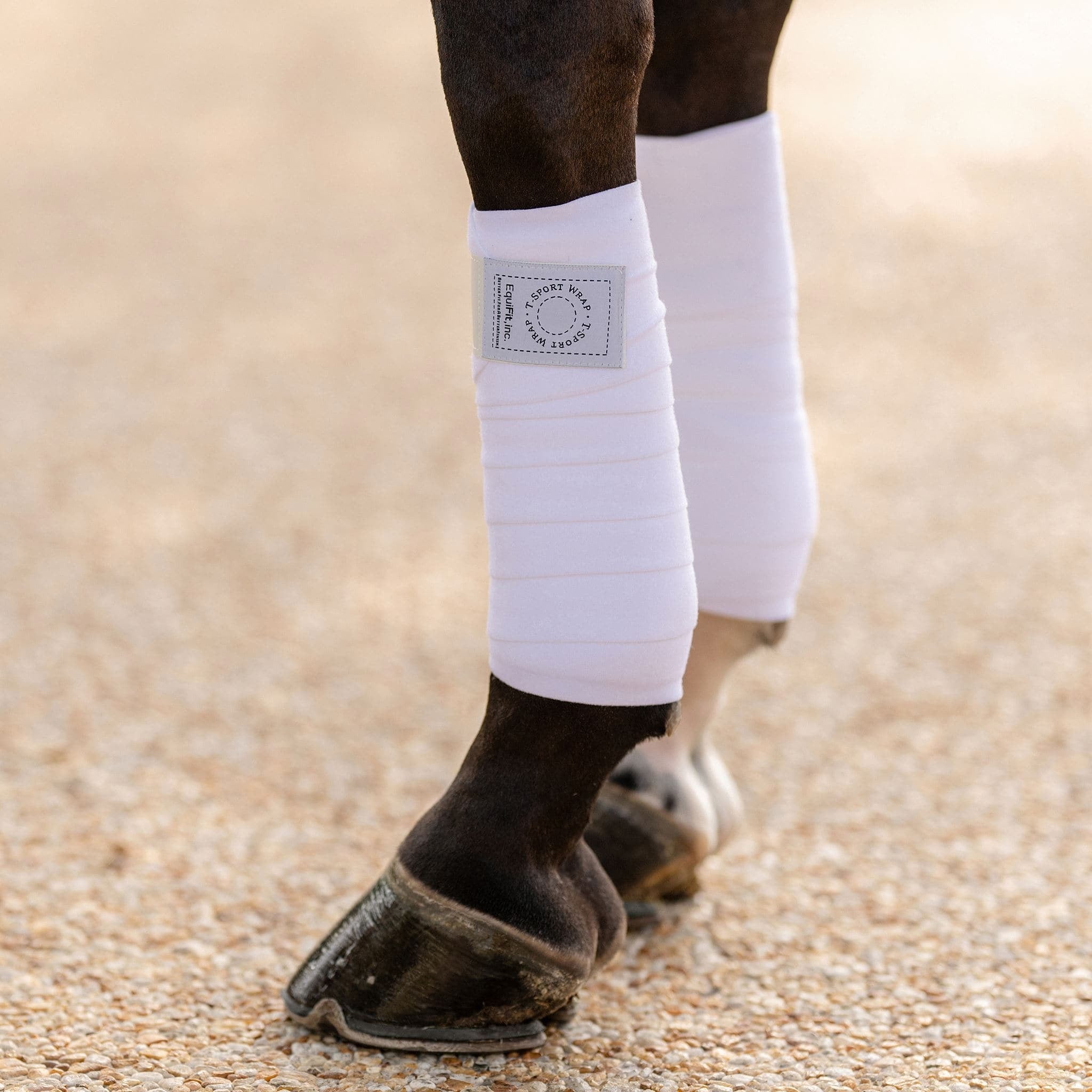 5-495917-b.jpg