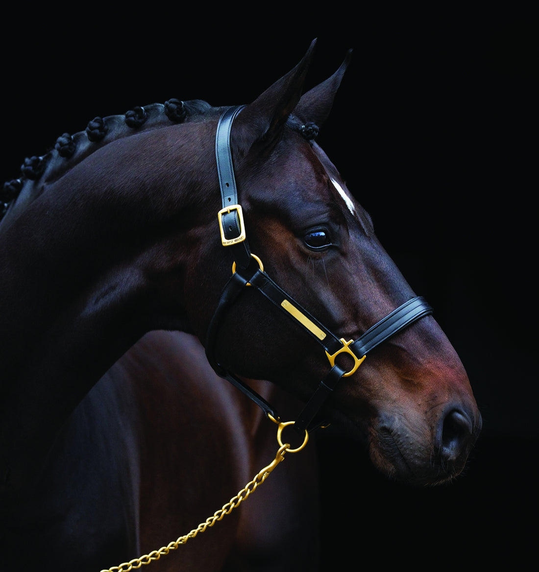 5-500549-black.jpg