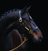 5-500549-black.jpg