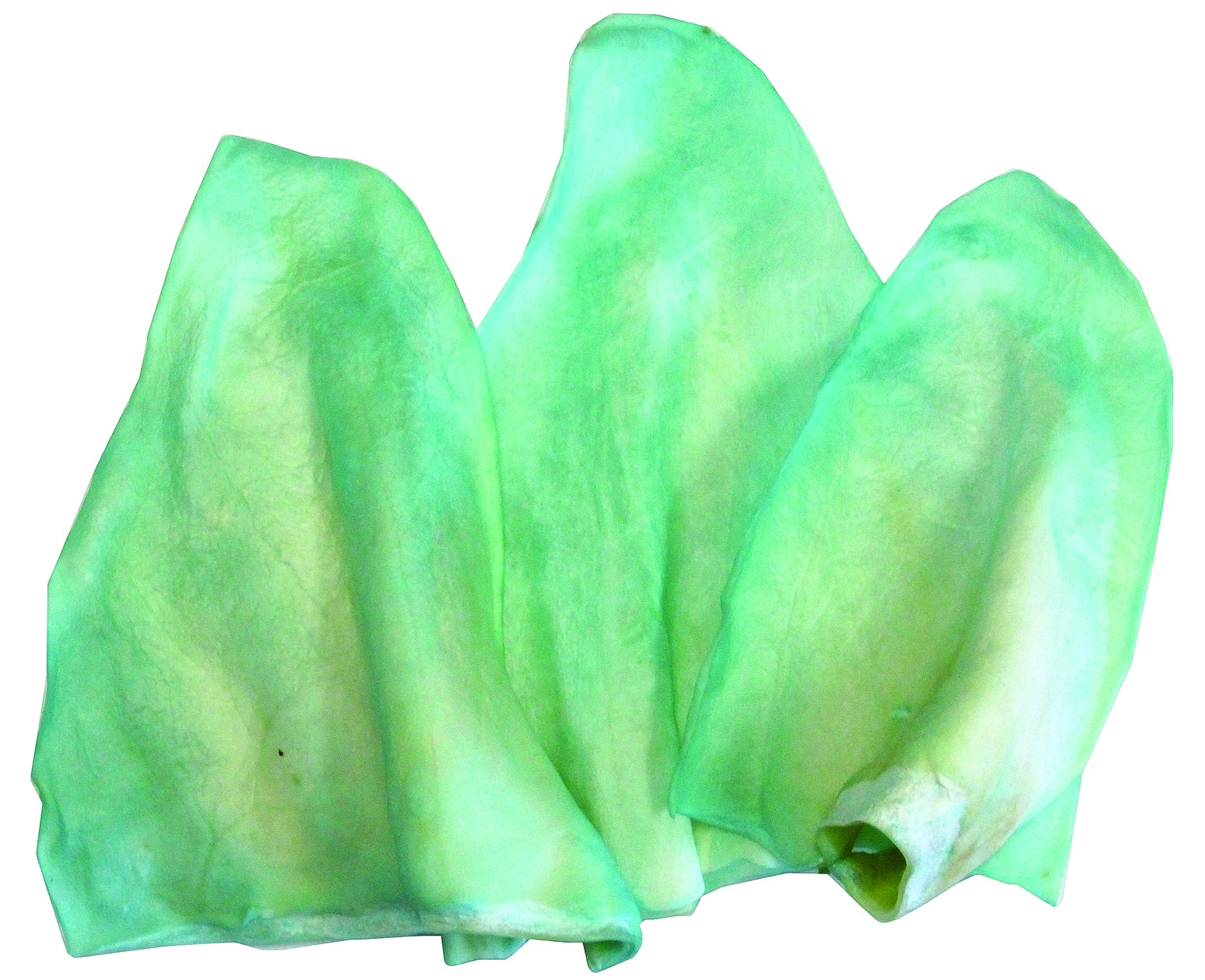 5-505865.jpg