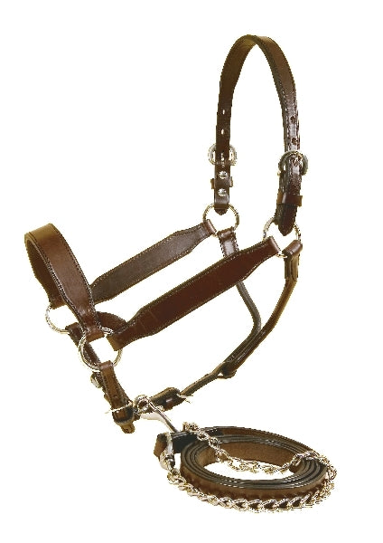 Licol De Présentation Showman En Cuir Et Argent - Gravure Florale - Taille Cheval